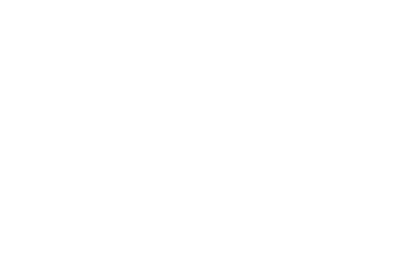 Neon Bat logo